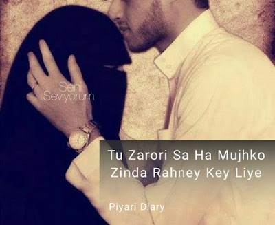 pyari diary images love quotes and thoughts