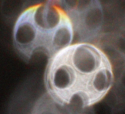 orb with four holes