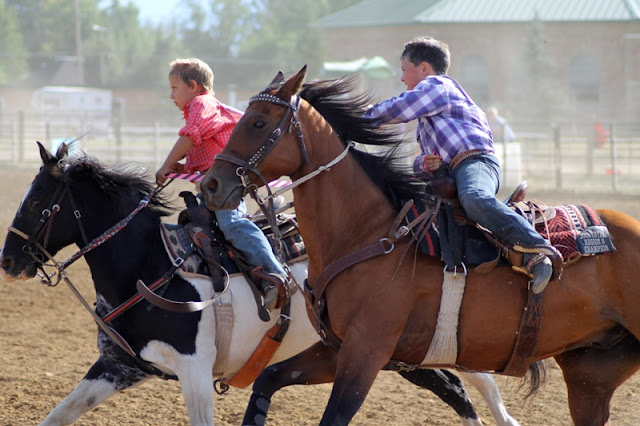 the final stretch of the crepe paper race at the Sheridan Elk's Youth Rodeo