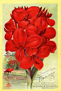 Instant Art PrintableSeed Catalog CoverRed Flowers (cannas flamingo graphicsfairy )