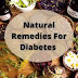 Exploring Natural Remedies For Diabetes and Potential Cures : Holistic Approaches to Diabetes