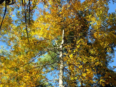 DSCN0299