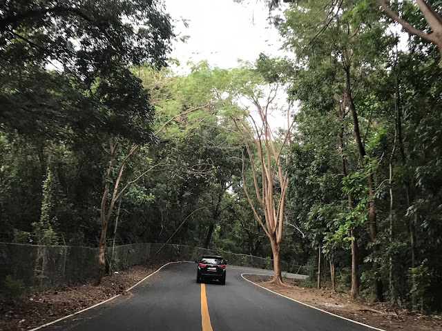 Tree-lined roads to Morong Bataan