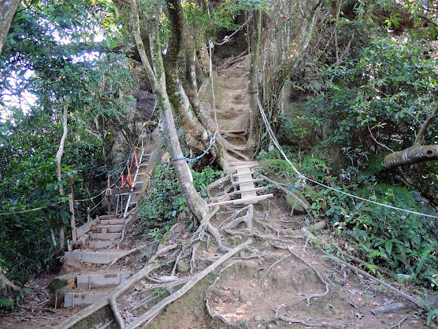 《內溝山登山步道》順遊「金龍湖」、「翠湖」 (2018.11