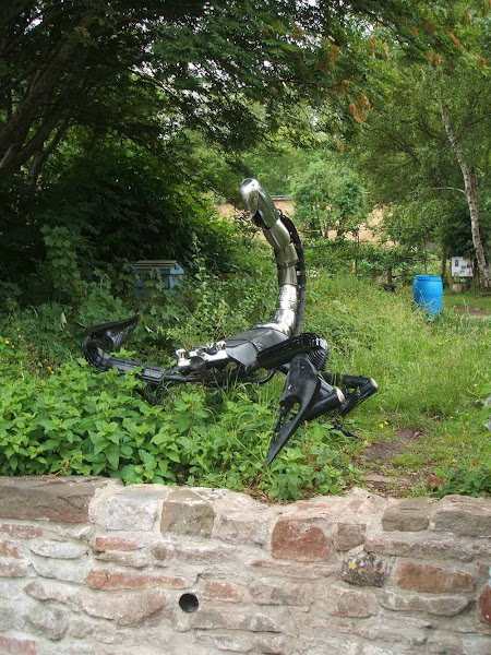 scary upcycled metal scorpion sculpture emerges out of the greenery at windmill hill city farm allotments