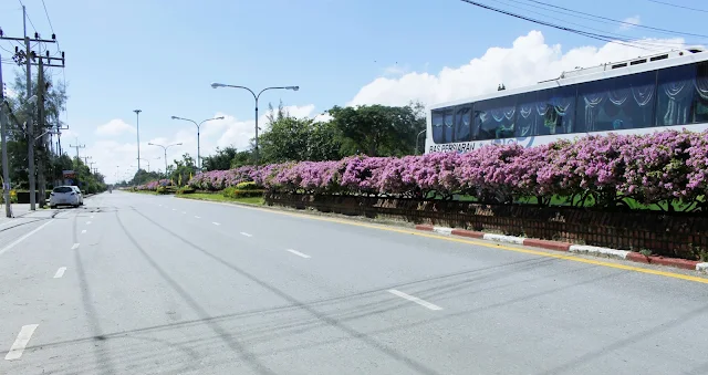 Pengalamanku Saat Jalan-jalan di Thailand