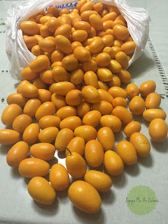 qumquat