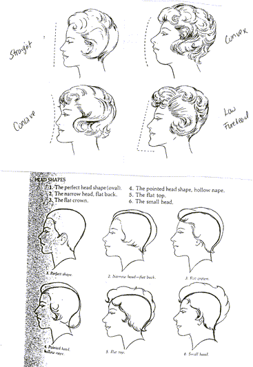 which face shape you have. As well, as what to aim for in your hairstyle which face shape you have. As well, as what to aim for in your hairstyle