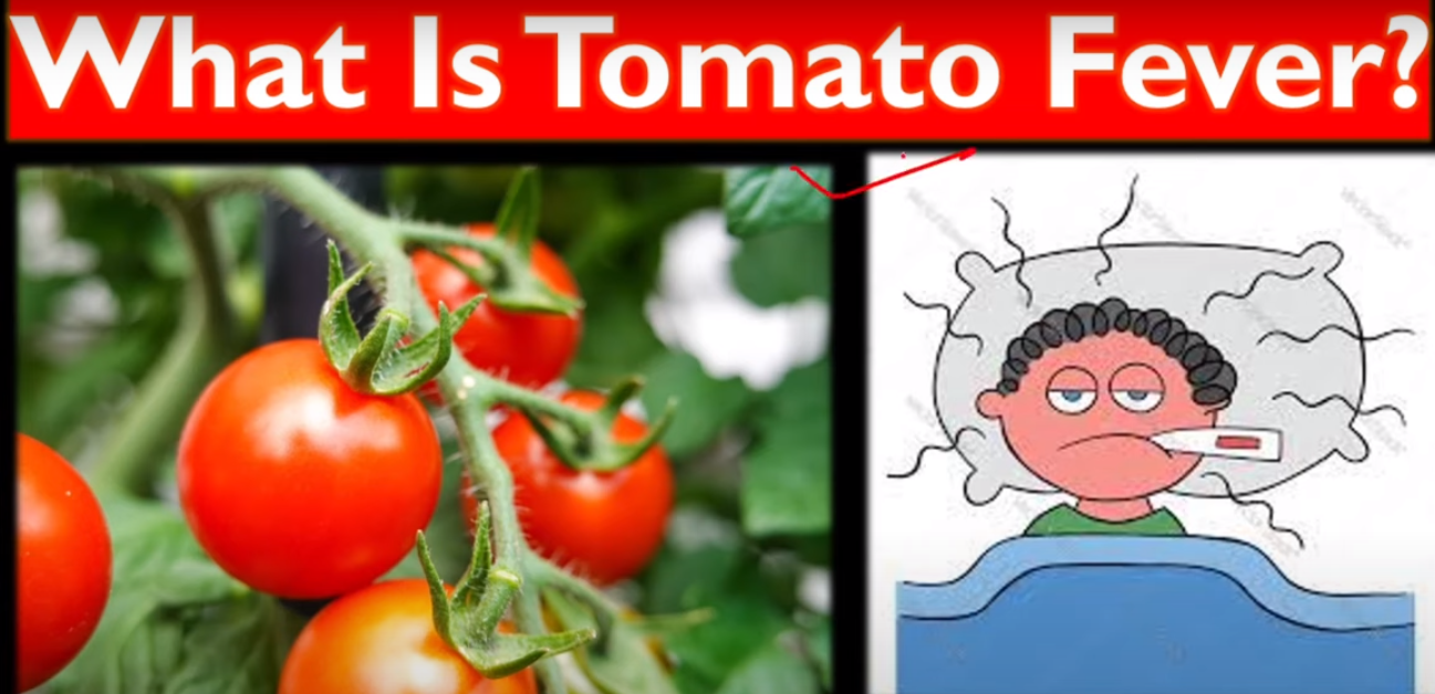Tomato Fever