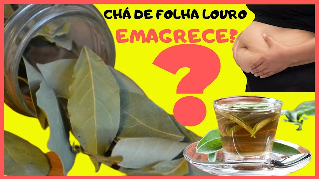 cha-de-folha-de-louro-emagrece-beneficios