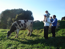 Amb sa vaca