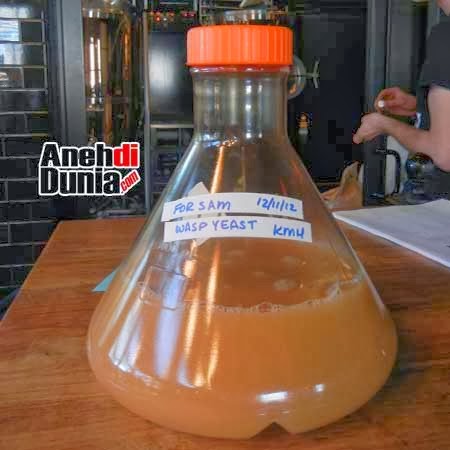 Minuman Keras Dengan Bahan Paling Aneh Di Dunia