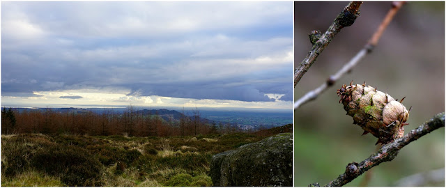 Slieve Gullion Forest Park 3 - Carrie Gault 2018