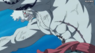 ワンピースアニメ 魚人島編 565話 ホーディ・ジョーンズ | ONE PIECE Episode 565