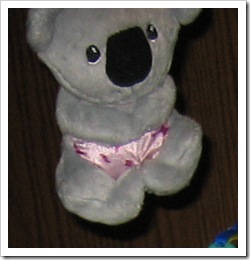 Reid's koala