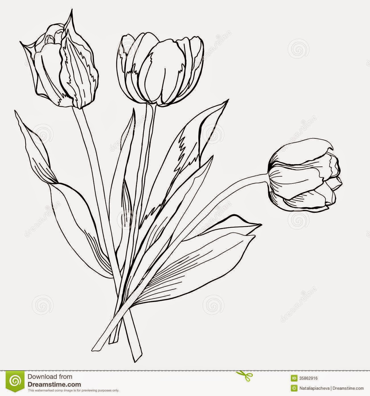 Sketsa Bunga Tulip | Gambar Pemandangan