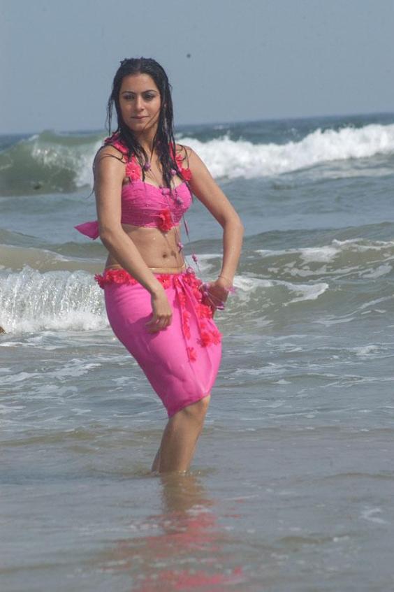 Shraddha Arya Hot And Sexy Photo Gallery