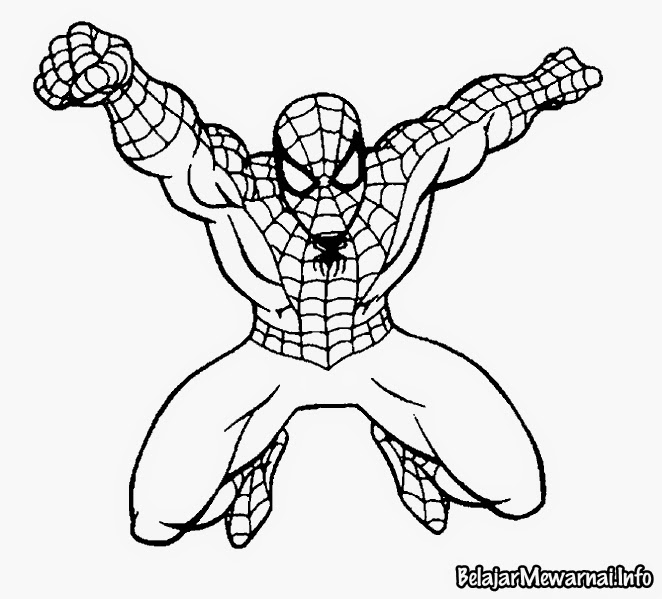  Gambar  Mewarnai Spiderman Gambar  Mewarnai Lucu