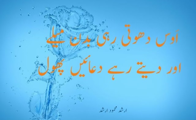  Urdu Poetry 
