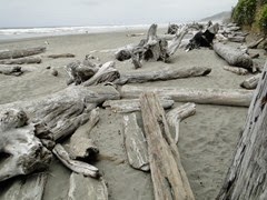 DSC09000