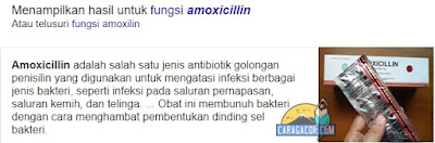 Cara obati lovebird snot dengan obat amoxilin 