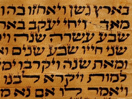 blank scroll template. Torah+scroll+template