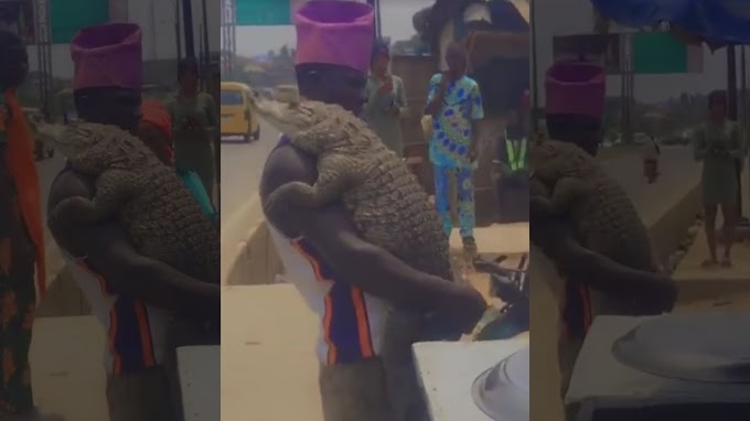 Man Pets Reptile, Crocodile in Lagos, Nigeria ( VIDEO)