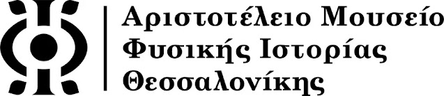 Θεσσαλονίκη: Τιτανοχελώνες 5 εκατ. ετών από τον Μακρύγιαλο Πιερίας στο λιμάνι της πόλης