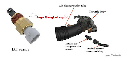 iat sensor fungsi sensor iat  iat sensor adalah letak sensor iat gambar sensor iat