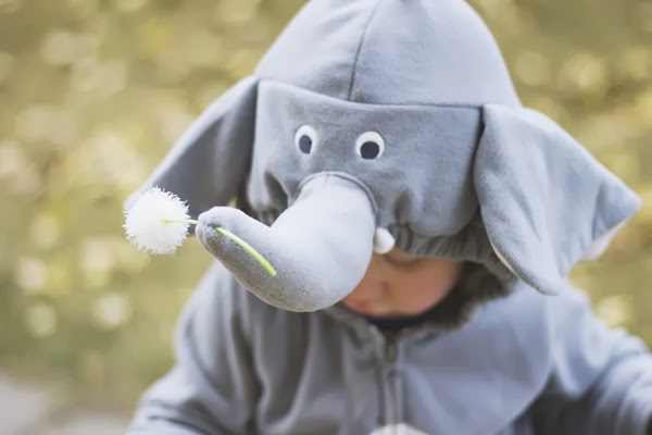 20131026 horton hears a who (127) edit
