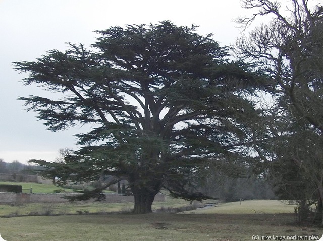 lartington hall parkland