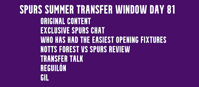 Spurs Summer Transfer Window Day 81
