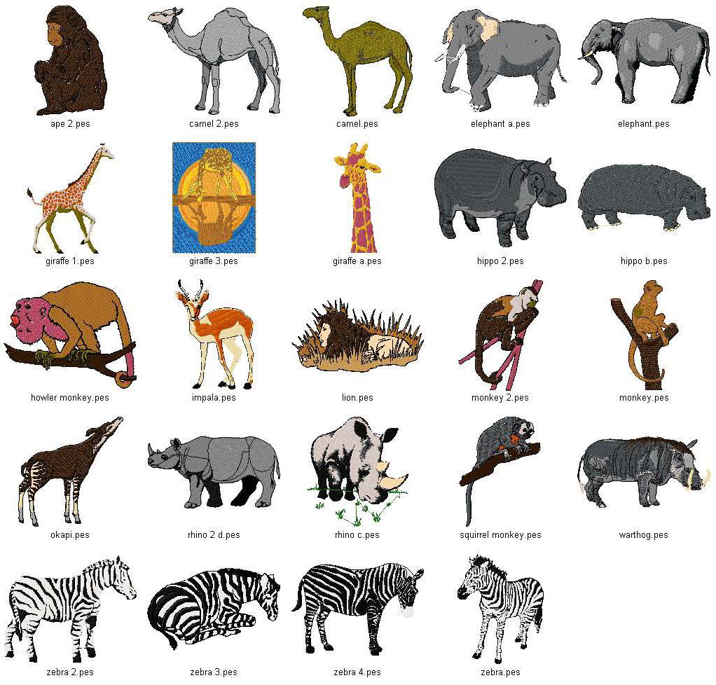 names of wild animals with pictures