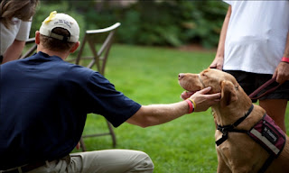 Service dogs assist heal military veterans