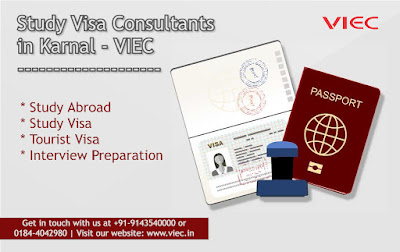 Study Abroad Consultants in Karnal - VIEC