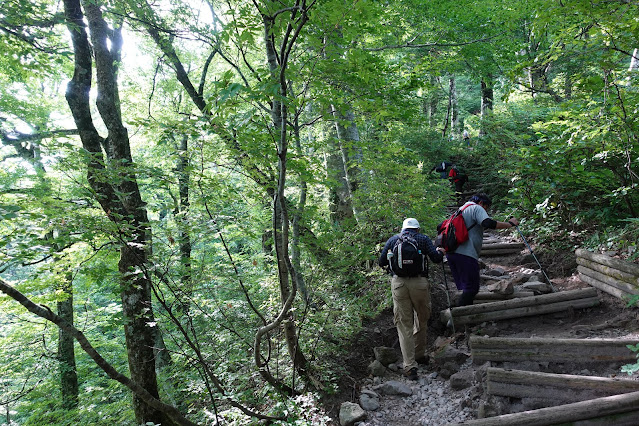 8月の大山夏山登山道