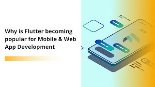 mobile & web app development