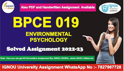 begla 136 solved assignment; bpce 22; climate change issues and challenges; begla-136 english at the workplace; organising a portfolio ignou; we drew a short-list of candidates; the type _________ letters are ready for dispatch use the correct form of the word in brackets; the three stages of a presentation ignou
