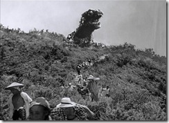 Gojira Looks Over the Hill