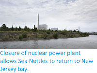 https://sciencythoughts.blogspot.com/2019/10/closure-of-nuclear-power-plant-allows.html