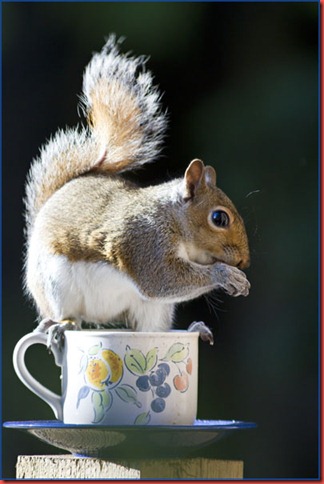 Eric in cup right