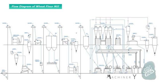 how to start a wheat flour mill | Double-lion Machinery