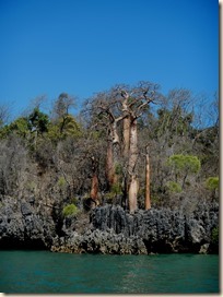 0421_thumb2