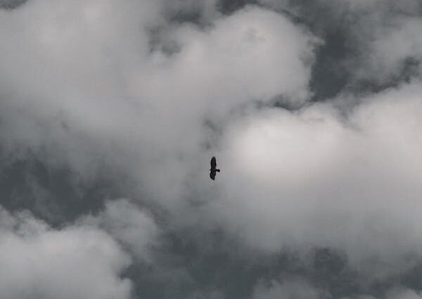 against the wind icon