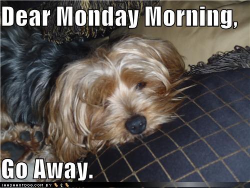 Photos coffee quotes, cartoons coffee quotes funny. Photos coffee quotes, cartoons