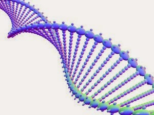 O comportamento criminoso estaria determinado por genes hereditários? Estudo retoma polêmica sobre genética e criminalidade