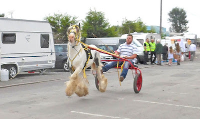 Brigg Horse Fair 2016 - picture one on Nigel Fisher's Brigg Blog