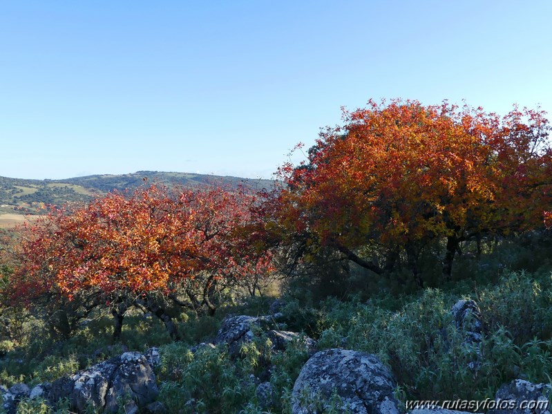 Cornicabral de Mures