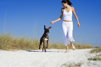 puppy dog obedience training tips