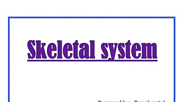 Skeletal system PDF | PPT
